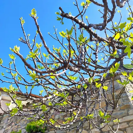 Tatil Evi Casa Escola *